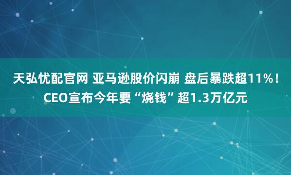 天弘忧配官网 亚马逊股价闪崩 盘后暴跌超11%！CEO宣布今年要“烧钱”超1.3万亿元